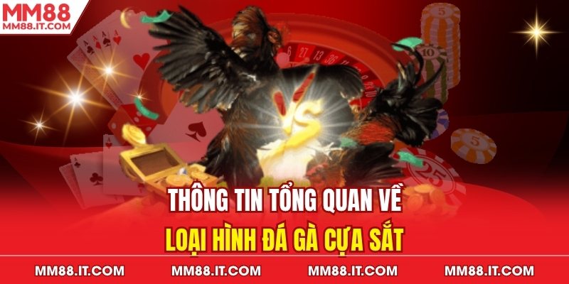 Thông tin tổng quan về loại hình đá gà cựa sắt